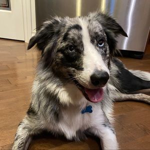 Meet your Posher, Kerri